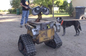 Real Life-Size Wall-E Robot